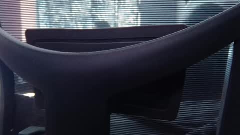 Wetbigdickstream online show from 3, 11, 2025