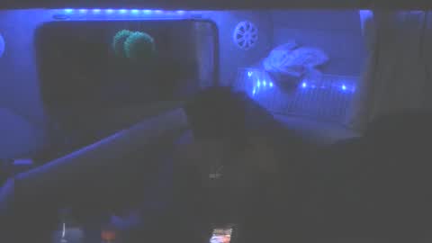 wetdreamz101 online show from 19, 1, 2026