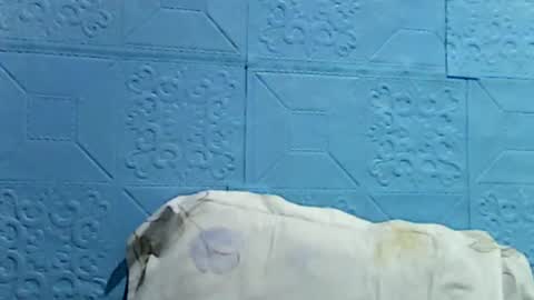 wettyhottie69 online show from 1, 7, 2026
