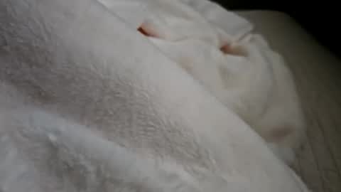 what_whaaat online show from 21, 9, 2025