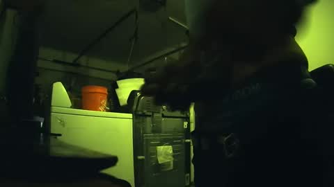 Freaked out1 online show from 4, 1, 2025