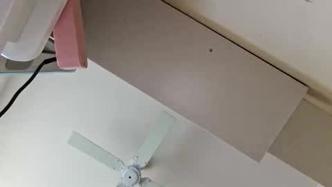 whaturfamous765 online show from 31, 10, 2025