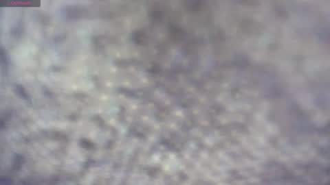 white_sexy_ online show from 20, 3, 2026