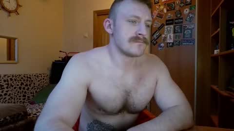 WhiteBull online show from 8, 2, 2026