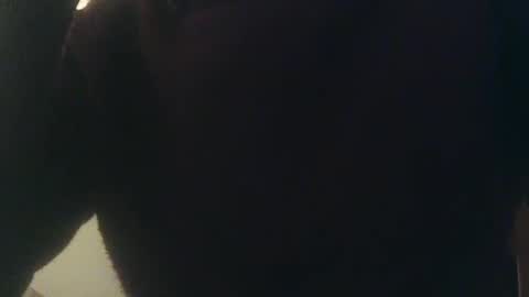 Snapshot of whiteduke81 chatting on 3, 1, 2025 Whiteduke online show from 3, 1, 2025