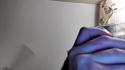 whitegal6969 online show from 25, 10, 2025