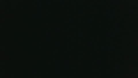 whitehead_lion online show from 14, 11, 2025