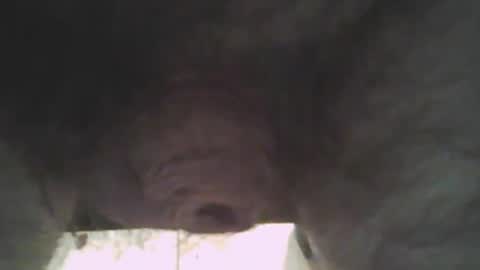 whitemann65 online show from 2, 1, 2025