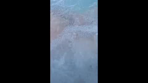 whiteoak19522 online show from 29, 3, 2026