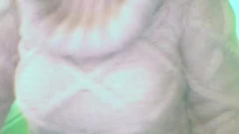 whitesweater online show from 10, 3, 2025