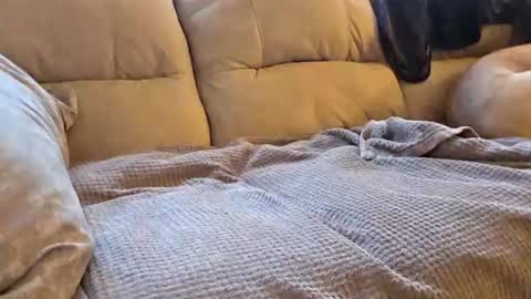 whorekneeweeny online show from 5, 8, 2026