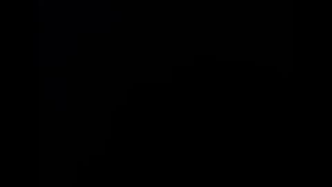 whynot6913 online show from 15, 12, 2025