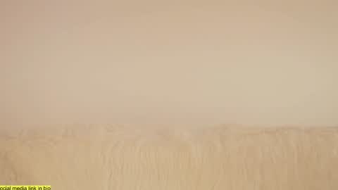 wild_schoolgirl online show from 18, 1, 2025