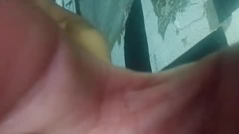 Snapshot of wildasshole123 chatting on 29, 11, 2025 wildasshole123 online show from 29, 11, 2025