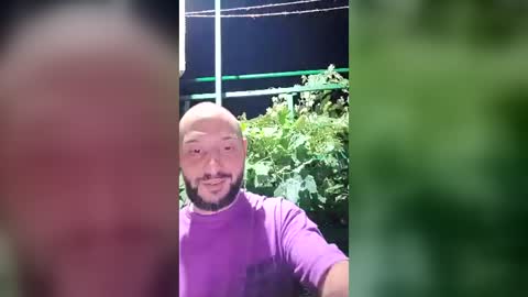 wildcrazypussy online show from 17, 7, 2026