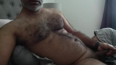 wildhungry online show from 3, 10, 2025