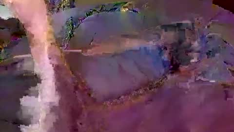 bobby banks online show from 20, 2, 2026