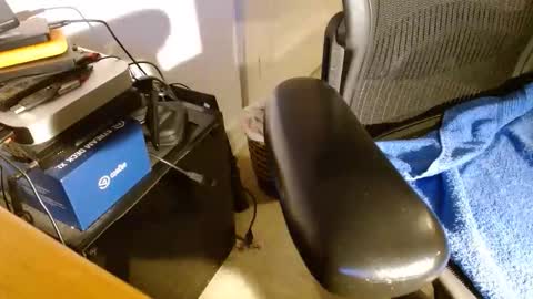 wildwills online show from 14, 4, 2026