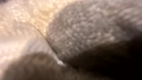 wiley0520 online show from 27, 10, 2025