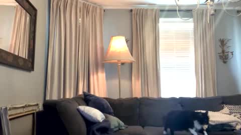 willbeatit online show from 18, 4, 2026