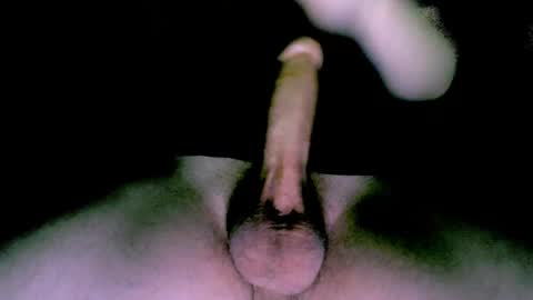 willcox10301 online show from 12, 1, 2025