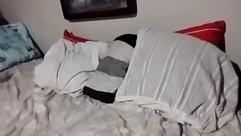 willfast online show from 7, 10, 2025