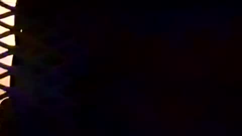 willhelm_the_pleaser online show from 19, 7, 2026