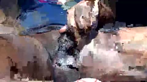 willianel online show from 13, 12, 2025