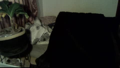 Snapshot of willingwillwet chatting on 18, 12, 2024 Call me Babe online show from 18, 12, 2024