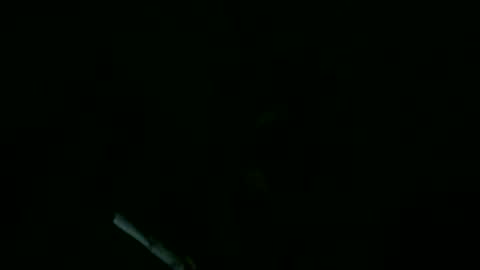 Snapshot of willnedoher chatting on 11, 9, 2025 Willhedoher online show from 11, 9, 2025