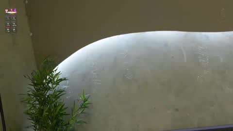 Snapshot of willow_hendrix chatting on 21, 3, 2026 Ms Willow online show from 21, 3, 2026