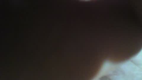 Willy Stroker online show from 12, 1, 2025