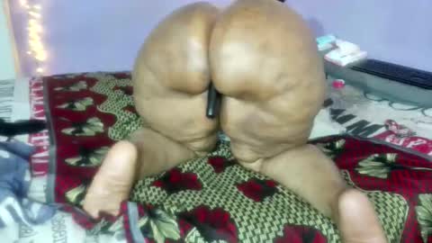 wilmaassylum online show from 5, 1, 2026