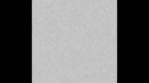 wilmot69noah online show from 19, 2, 2025