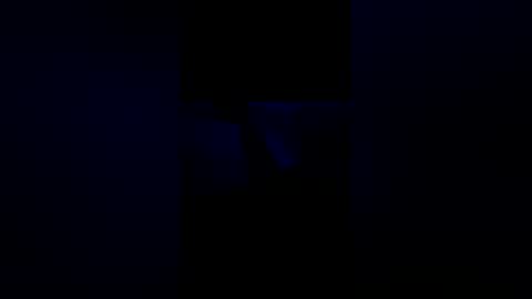 windowplug online show from 2, 3, 2026