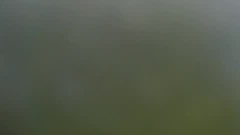 Wisa Randy online show from 11, 11, 2025