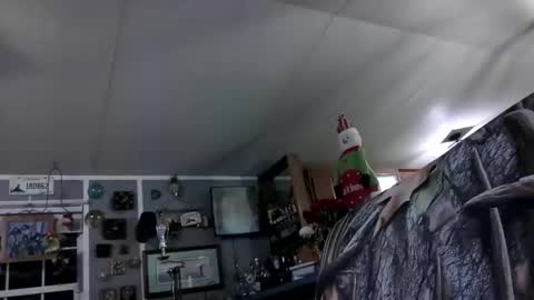 Snapshot of wldlife chatting on 25, 11, 2025 wldlife online show from 25, 11, 2025