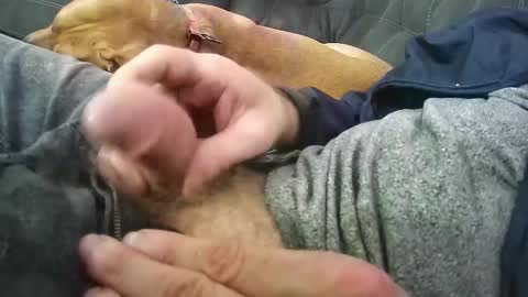 wmasolutions2020 online show from 12, 3, 2026