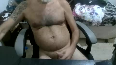 Snapshot of wolfsoulstar chatting on 21, 7, 2026 LoneWolf online show from 21, 7, 2026