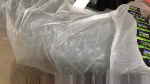 Snapshot of wolfyi chatting on 5, 2, 2025 Sultan Blaze online show from 5, 2, 2025