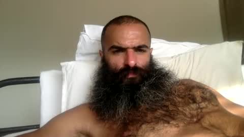 woof_wolf37 online show from 14, 2, 2026