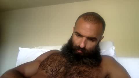 Snapshot of woof_wolf37 chatting on 31, 5, 2026 woof_wolf37 online show from 31, 5, 2026