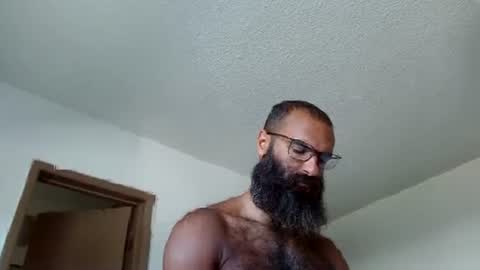 woof_wolf37 online show from 14, 6, 2026