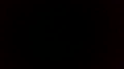 wooltv1 online show from 14, 2, 2026