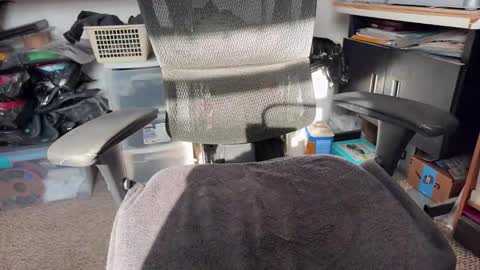 workplace_proximity_associate online show from 26, 1, 2025