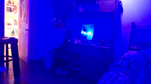 wowsers7 online show from 16, 11, 2025