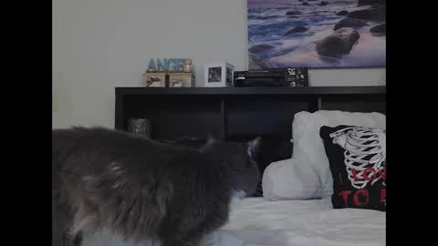 Crystal Lake online show from 25, 9, 2025