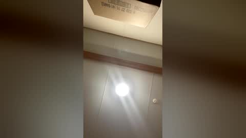 wshane222 online show from 29, 3, 2026