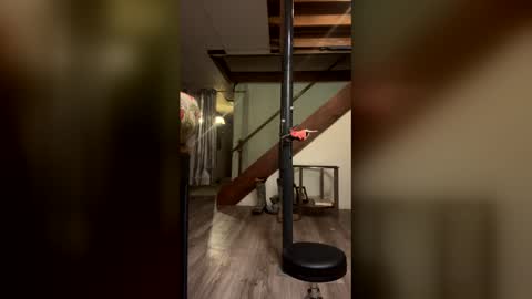 wyattmcc32288 online show from 2, 3, 2026