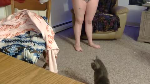 x2kayx2 online show from 11, 3, 2026